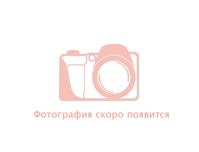 21 этаж - 580 м<sup>2</sup>